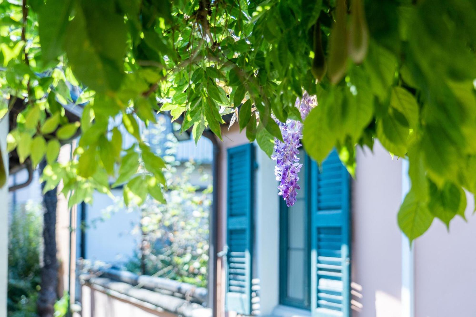 Seven Boutique Hotel Ascona Exterior foto